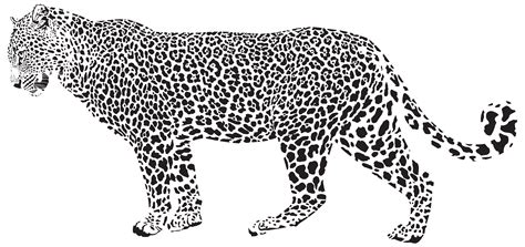 Snow Leopard Cheetah Clip Art Jaguar Silhouette Png Transparent Clip