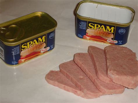Find out what is the full meaning of spam on abbreviations.com! meaning of spam