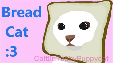 Bread Cat Drawing D Youtube