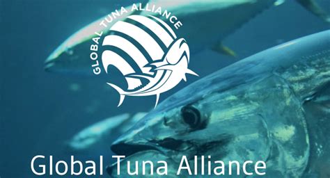 India Objects To Having Global Tuna Alliance As Iotc Observer Undercurrent News