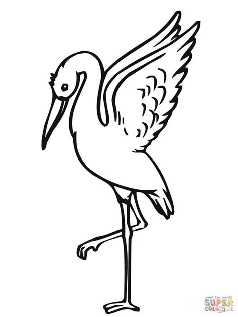 Storch Zeichnen Schritt F Schritt