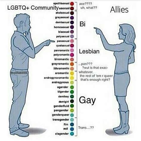 gender spectrum sexual orientation spectrum there is a difference between how allies view it