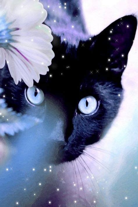 Which Mythical Being Are You Cats Magic Cat Beautiful Cats