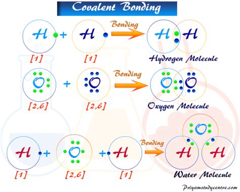 Covalent Bond Types Definition Properties Examples
