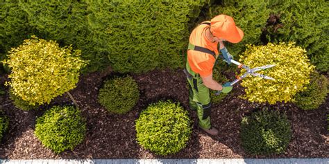 Types Of Landscaping Insurance To Protect Your Business Landpro