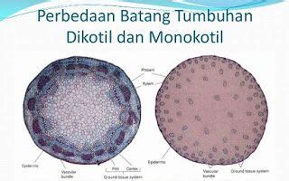 Ketika file disertakan dengan pernyataan include dan php tidak dapat menemukannya, skrip akan terus dijalankan Yuk, Simak Perbedaan Batang Dikotil dan Monokotil Ini ...