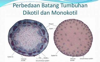 Ketika kita menggunakan let maka kita melemparkan value ke proses selanjutnya seperti contoh dibawah ini ketika let sebelumnya menulis it.reversed maka di let setelahnya akan mengacu ke value yang telah di reverse. perbedaan batang dikotil dan monokotil beserta gambarnya,secara morfologi,dalam hal ikatan ...