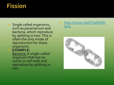 Though it is more complicated than this, scientists basically a transgenic organism has genes from other species inserted into its genome. PPT - REVIEW PowerPoint Presentation, free download - ID:1598076