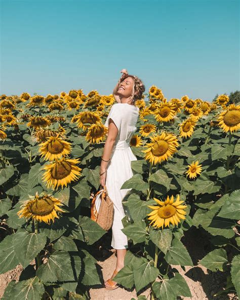 Where To Find Sunflower And Lavender Fields In Provence • The Blonde Abroad In 2020 Sunflower