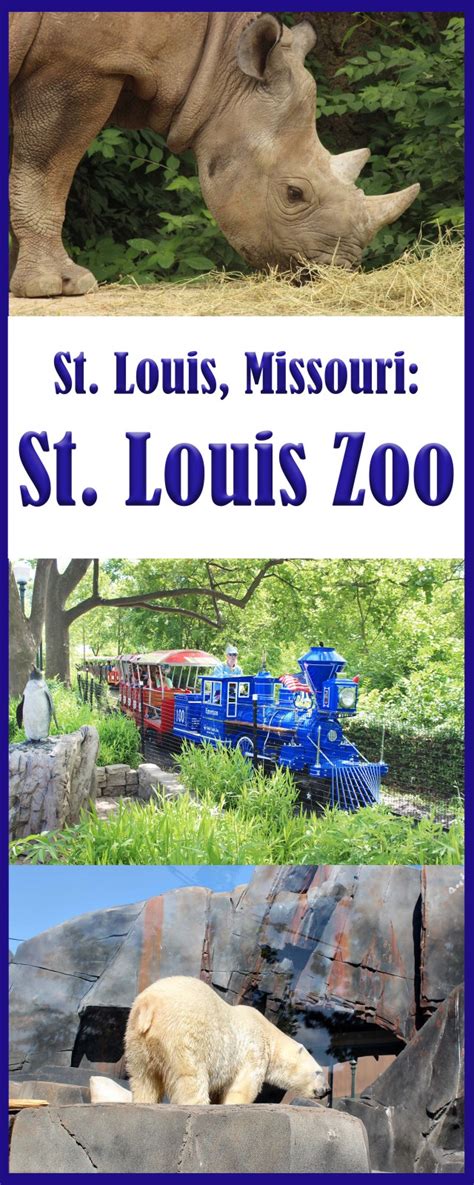 Saint Louis Zoo Cost Paul Smith