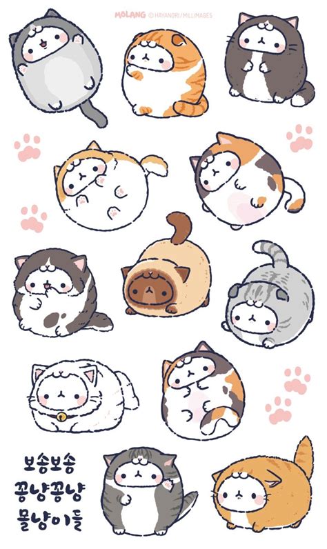 Molang Cute Cat Illustration Cute Drawings Kawaii Drawings