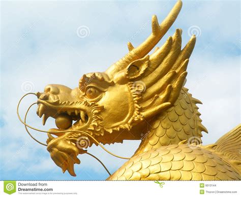 Golden Dragon Head Stock Photo Image Of Gold Monument 9313144