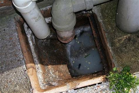 Shut off and drain all water lines. HOME DZINE Home DIY | Why do drains block?