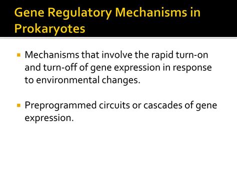 Ppt Chapter 19 Regulation Of Gene Expression In Prokaryotes And Their