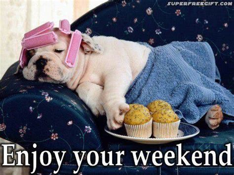 Enjoy Your Weekend Funny Dog Pictures Funny Animal Pictures Bulldog