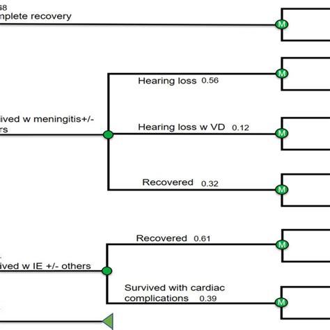 A Decision Tree And Markov Models The Infection Involves Acute Phase