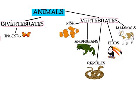 English time: CLASSIFYING ANIMALS