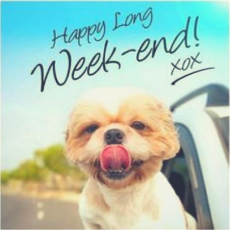 100+ saturday memes and pictures. Don't forget to call us Tuesday about all of our full time ...