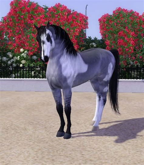Sims 3 Pets Horse Mods Speeddom
