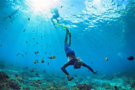 The Best Snorkeling In The Caribbean Top 12 Islands Sandals