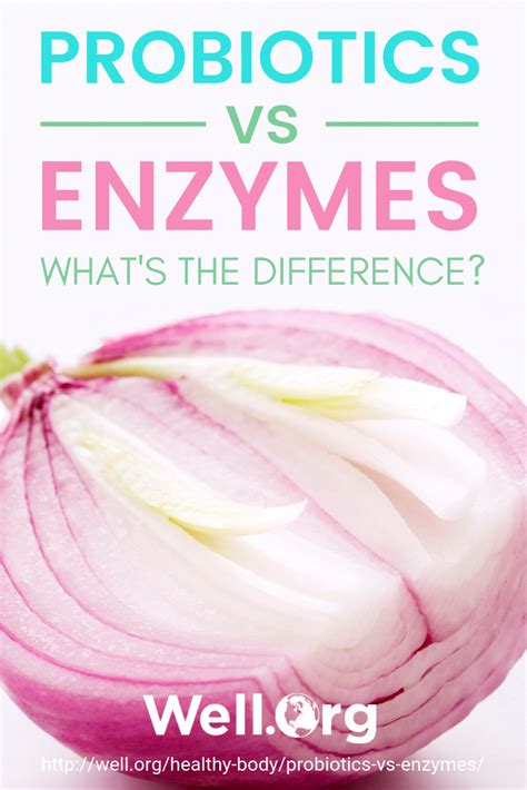 Probiotics Vs Enzymes Whats The Diff The Best Probiotic Diy