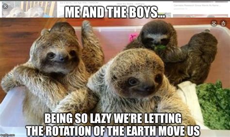 Image Tagged In Sloths Imgflip