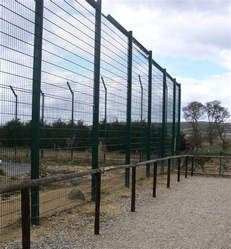 Wire Mesh Fencing For Zoos And Animal Enclosures Blog Zaun Ltd