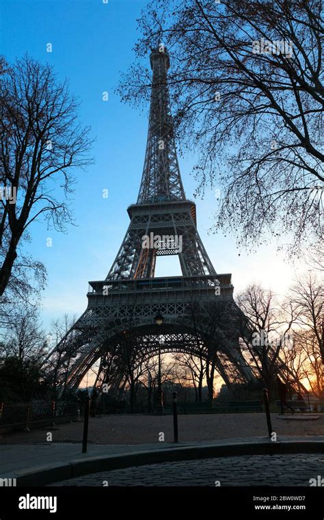 Eiffel Tower At Sunset Between Trees Stock Photo Alamy