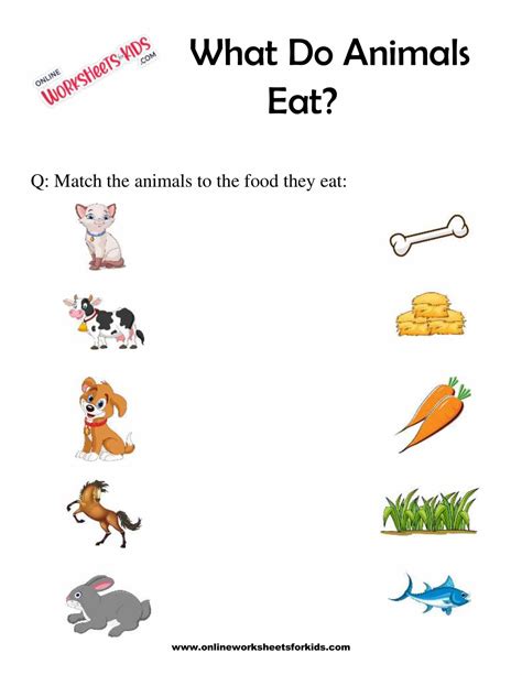 Connect The Animal To Its Food Kindergarten Preschool Reading Writing