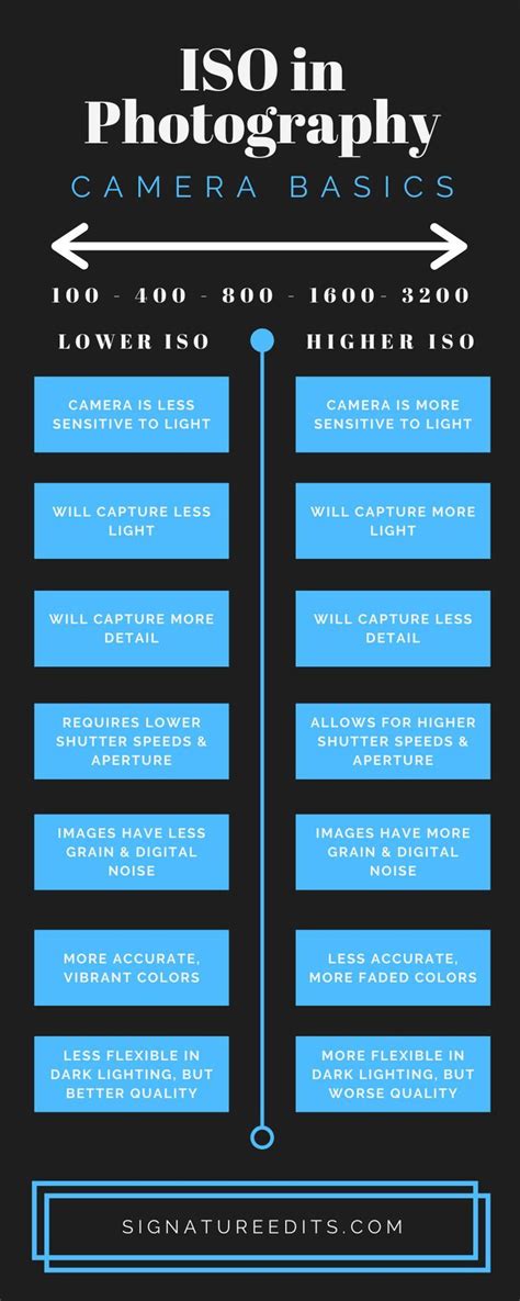 Iso Explained Photography Essentials Iso Photography Camera Basics