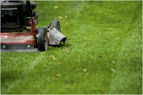 The Importance Of Regular Lawn Service Maintenance