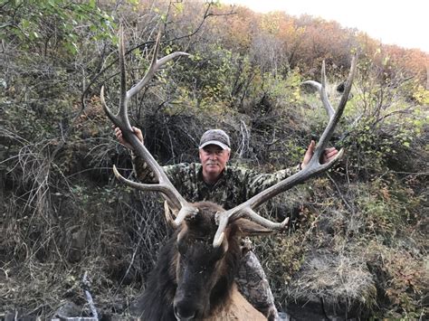Other states allow for landowners to be awarded some of the elk tags which they can resell on the open market. Elk Hunting - Ellis Hunting Ranch
