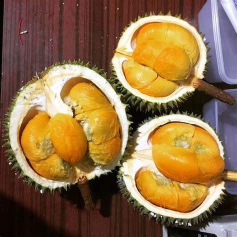 Durian traveler 1 year ago. 10 Jenis Durian Paling Populer Ini Wajib Masuk List ...