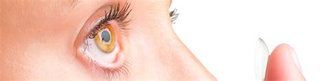 a beginners guide to contact lenses laurier optical innes eye clinic