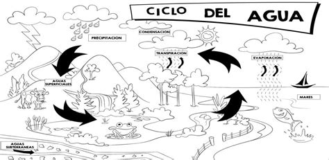 Ciclo Del Agua Para Colorear Orientacion Andujar