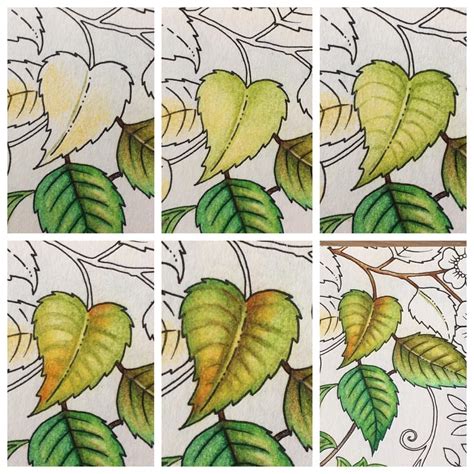 How To Shade Leaves With Colored Pencils Amanda Gregorys Coloring Pages