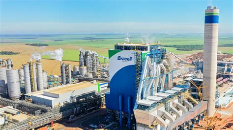 Bracell Raised 18 Billion For The Worlds Largest And Greenest Pulp