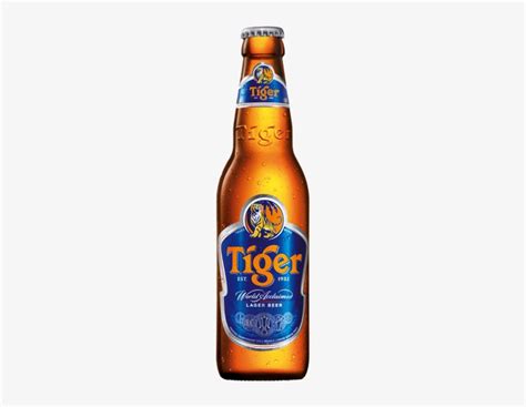 Tiger Beer Bottle Png Tiger Beer Transparent PNG 312x559 Free