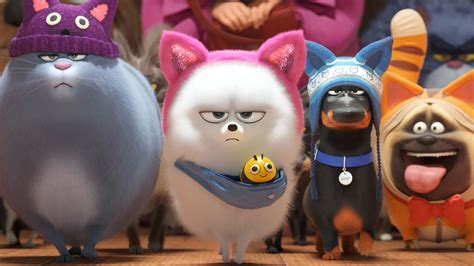 Referenced in animat's crazy cartoon cast: Watch The Secret Life of Pets 2 Online Free- Fmovies