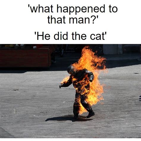 Please do not edit or repost artwork. please do not the cat.. : memes