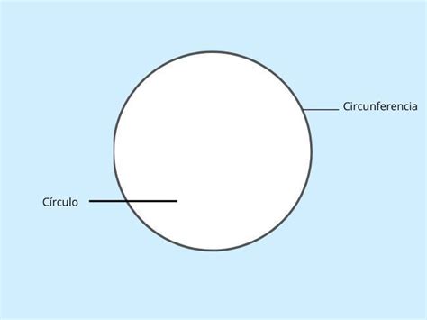 Partes Del Círculo Y La Circunferencia Mind Map