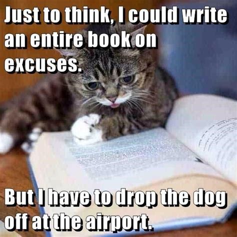 Top Memes Of The Week Cheezburger Users Edition In Cat Quotes Funny Memes