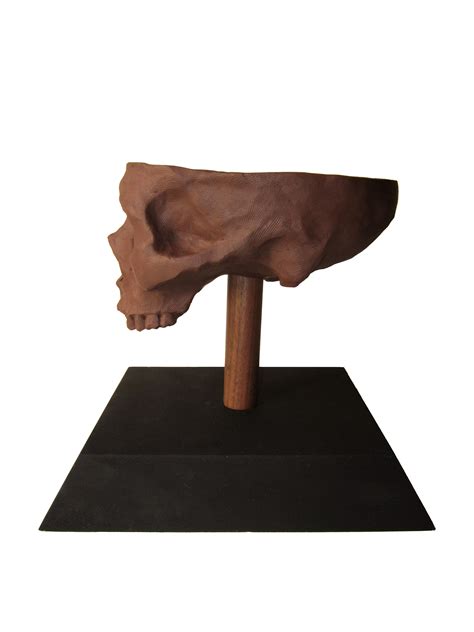 Sam Kim Studio Clay Skull Sculpture Study