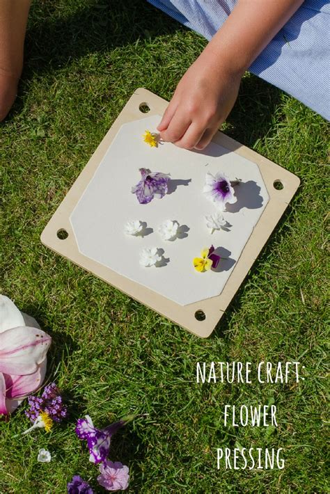Nature craft: flower pressing - Growing Family