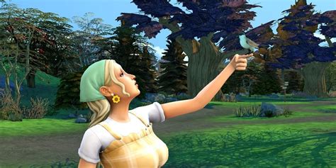 The Sims 4 How To Befriend Wild Birds And Bunnies