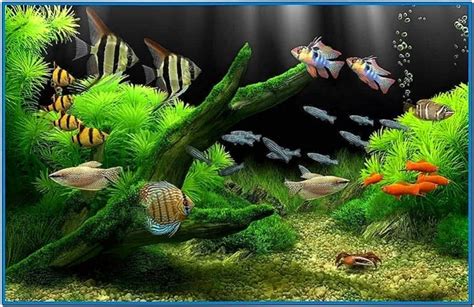 Fish Aquarium Screensaver Hd Download Free