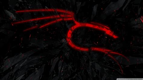 Kali linux hd wallpapers, desktop and phone wallpapers. red Kali dragon Ultra HD Desktop Background Wallpaper for ...