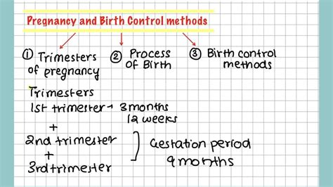 Pregnancy Birth And Birth Control Methods Igcse Biology Youtube