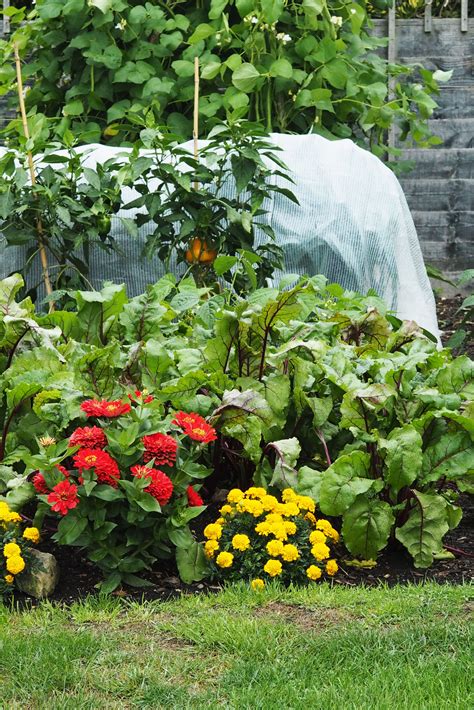 At ratingle we have a broad collection of lawn and garden tools, featuring the best lawn mowers available: Where is the best place for the vegetable garden? - The ...