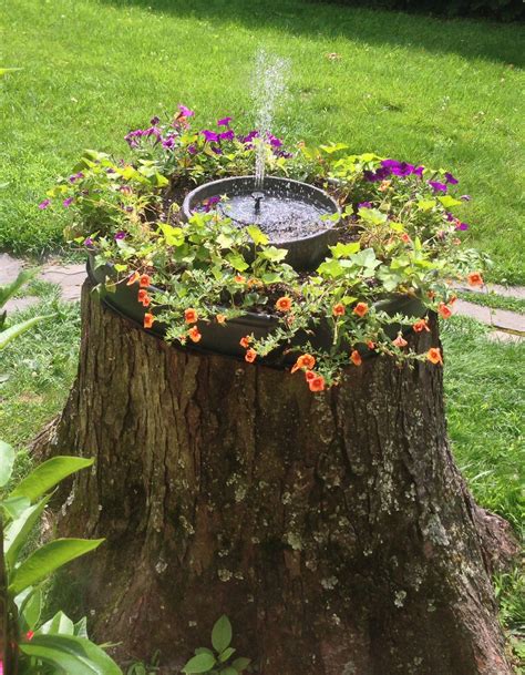 Experience lifelike decorating tree stumps at alibaba.com, ideal for decorating indoors and outdoors. 20 Beautiful Tree Stump Planter Ideas for the Garden ...